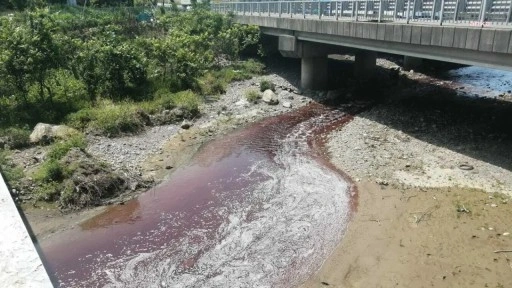 Rize'de kurban kanları dereyi ve denizi kırmızıya boyadı