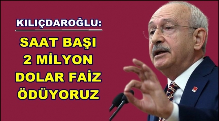 'Saat başı 2 milyon dolar faiz &ouml;d&uuml;yoruz'