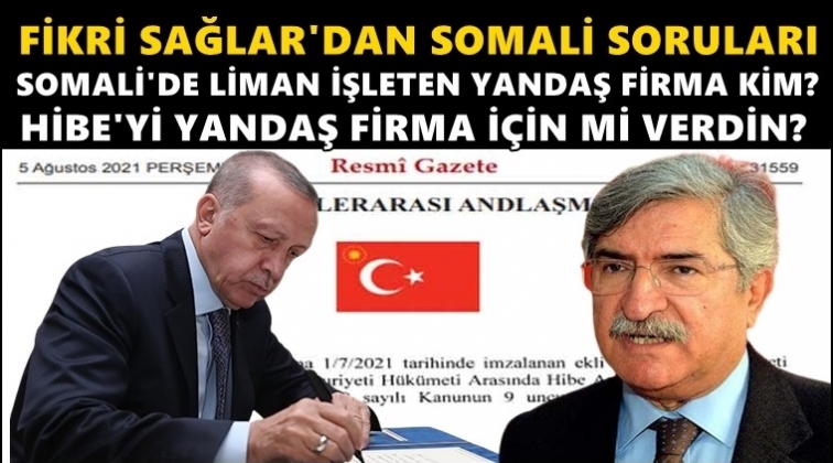 Sağlar: Somali'de liman işleten yandaş firma kim?