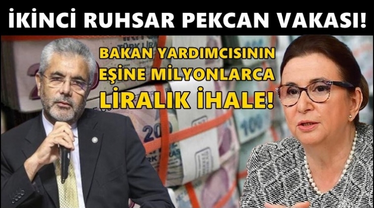 Sağlık Bakanlığı'nda ikinci Ruhsar Pekcan vakası!..
