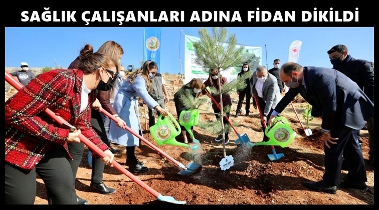 Sağlık &ccedil;alışanlarına hatıra ormanı...