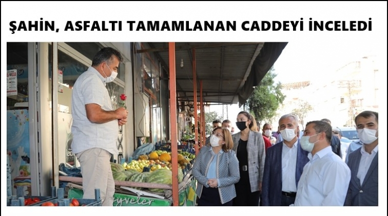 Şahin, asfalt &ccedil;alışmalarını inceledi