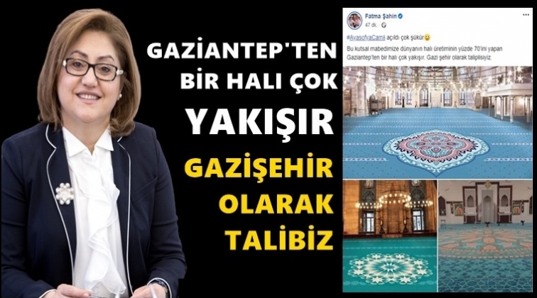 Şahin, Ayasofya'nın halısına talip oldu