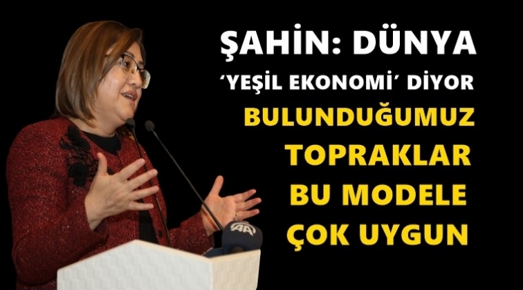 Şahin: D&uuml;nya yeşil ekonomiyi merkezine aldı