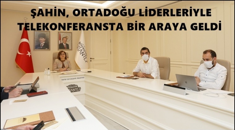Şahin, Ortadoğu liderleriyle g&ouml;r&uuml;şt&uuml;