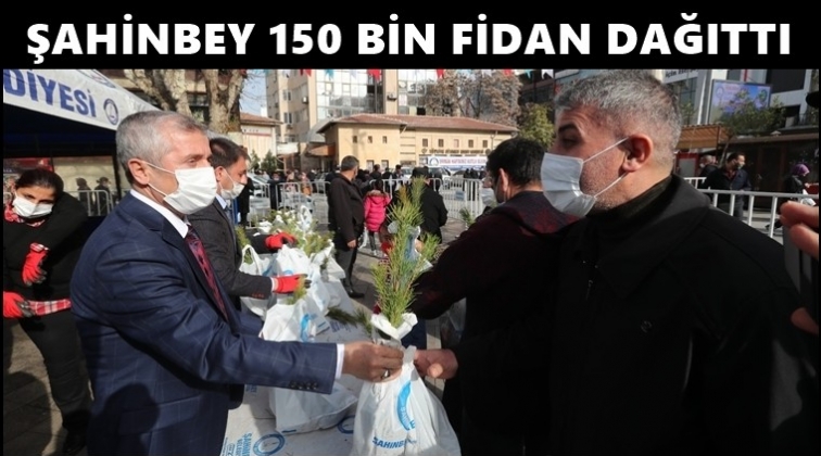 Şahinbey, 150 bin &ccedil;am fidanı dağıttı...