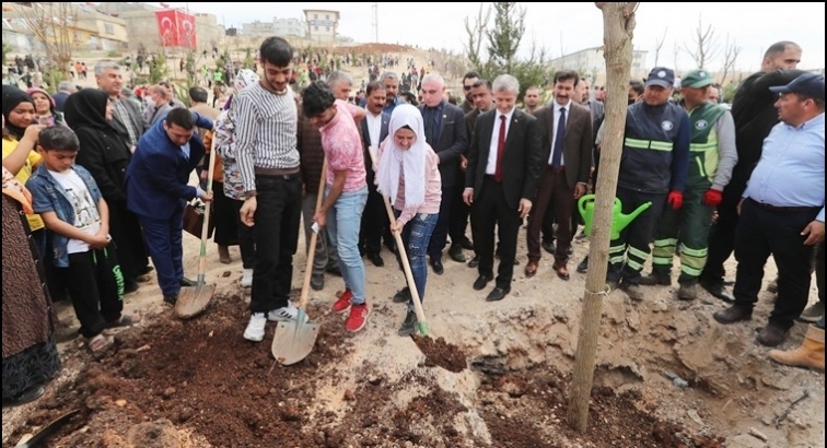 Şahinbey Belediyesi ağaç dikimini sürdürüyor