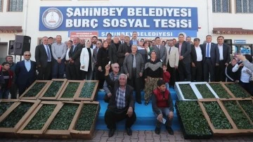 Şahinbey'den çiftçilere fide desteği