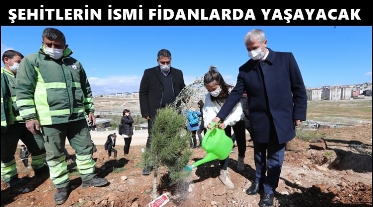 Şahinbey, şehitlerimiz i&ccedil;in zeytin fidanı dikti