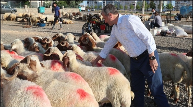 Şahinbey'de kurban kesim yerleri belirlendi