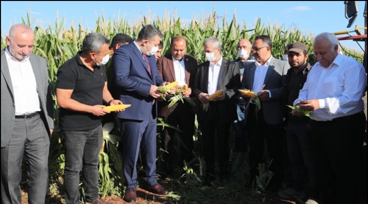 Şahinbey'den çiftçilere silajlık mısır tohumu!