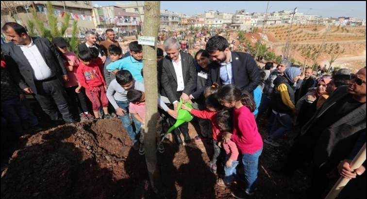 Şahinbey'den Narlıtepe&rsquo;de ağa&ccedil; dikimi
