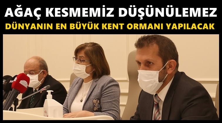 Şahin'den kent ormanı a&ccedil;ıklaması