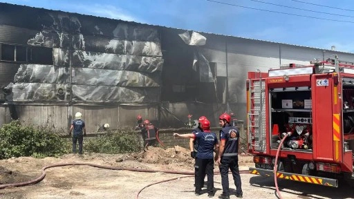 Sakarya'da kontrplak üretim tesisinde korkutan yangın!