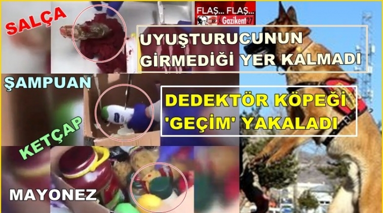 Salça, ketçap, mayonez, şampuan kutularında esrar!