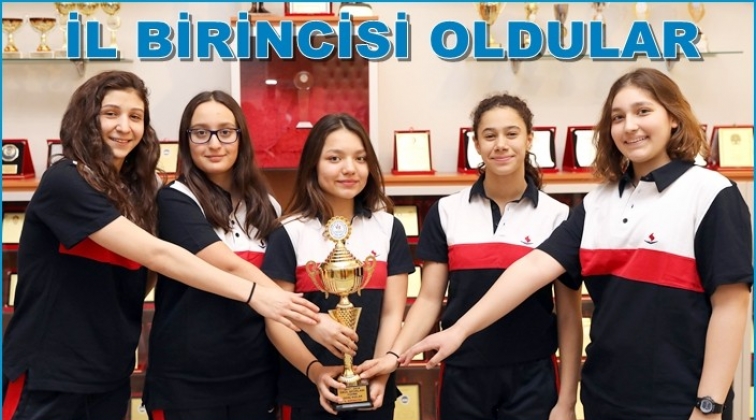 Sanko Okulları il birincisi