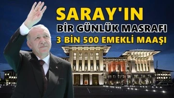 Saray’ın günlük masrafı 3 bin 500 emeklinin maaşı...