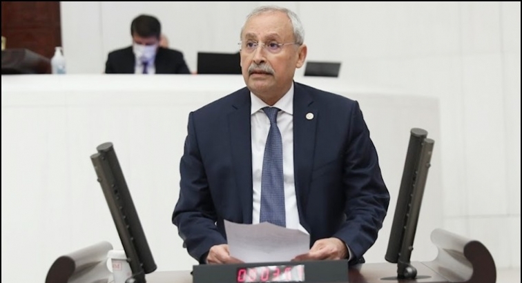 Sarımsak &uuml;reticilerinin sorunları Meclis'e taşındı!