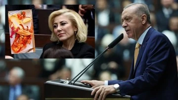 Şebnem Bursalı'dan Erdoğan'a 'ıstakoz' özrü