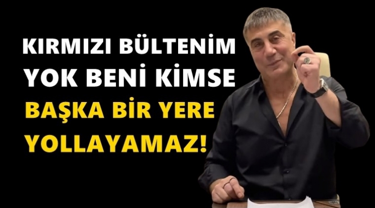 Sedat Peker: BAE hi&ccedil; kimseyi teslim etmemiştir