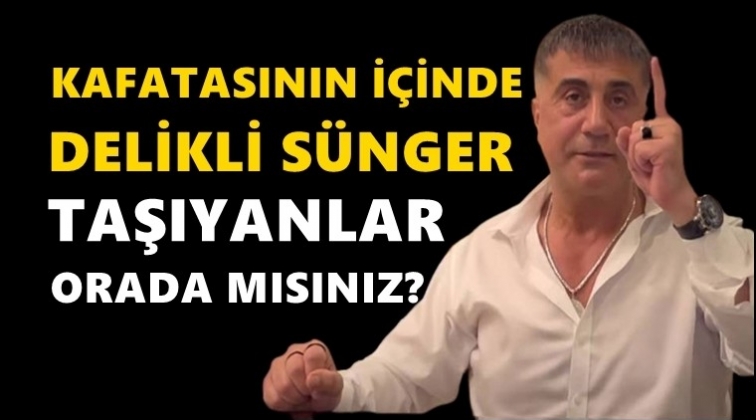 Sedat Peker: Ben kripto h&uuml;k&uuml;met ajanıyım!