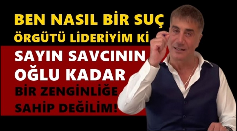 Sedat Peker: Ben nasıl bir su&ccedil; &ouml;rg&uuml;t&uuml; lideriyim ki...