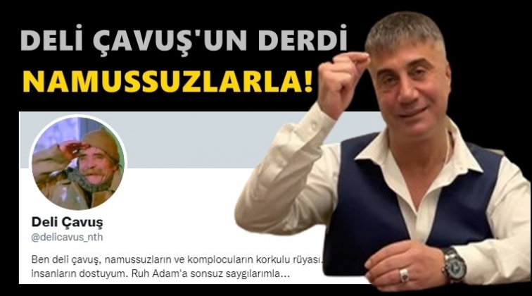 Sedat Peker: Deli &Ccedil;avuş&rsquo;un derdi namussuzlarla!
