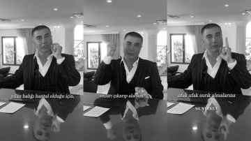 Sedat Peker'den dikkat çeken paylaşım