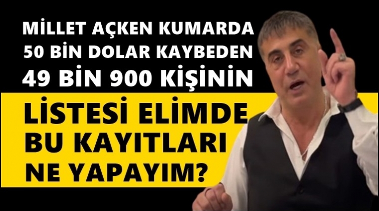 Sedat Peker: Dosyayı elime ge&ccedil;irdim, ne yapayım?