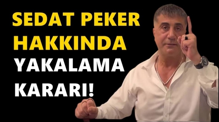 Sedat Peker hakkında&nbsp;yakalama kararı!
