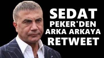Sedat Peker'in Twitter hesabında hareketlilik...