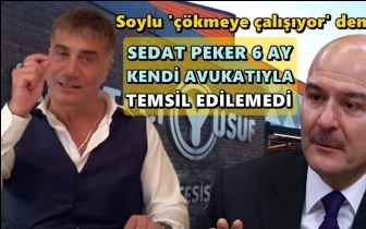 Sedat Peker kendi avukatıyla temsil edilemedi!