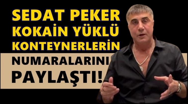 Sedat Peker, kokain yüklü konteyner numaralarını açıkladı!