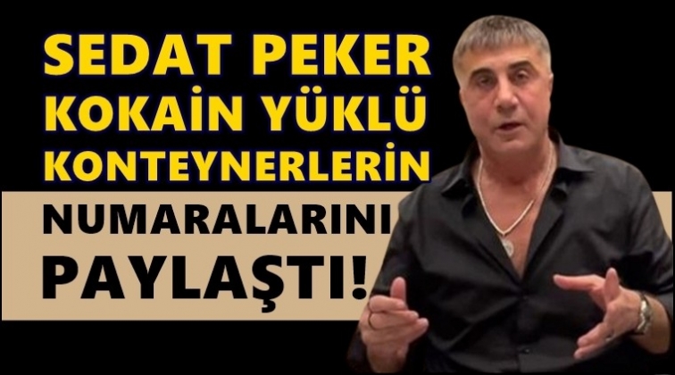 Sedat Peker, kokain y&uuml;kl&uuml; konteyner numaralarını a&ccedil;ıkladı!