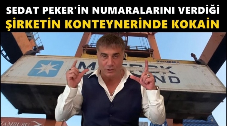 Sedat Peker numarasını yayınlamıştı...