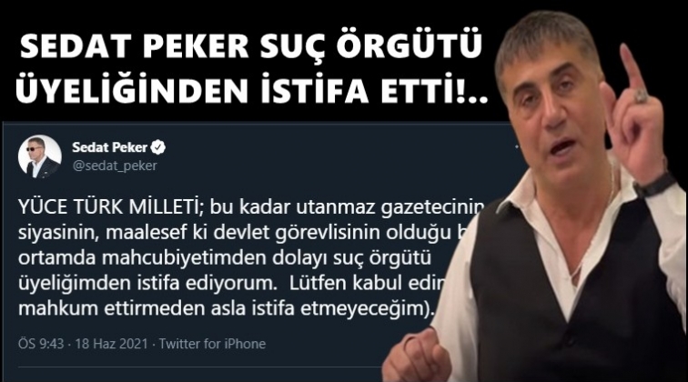 Sedat Peker &ouml;rg&uuml;t &uuml;yeliğinden 'istifa' etti!..