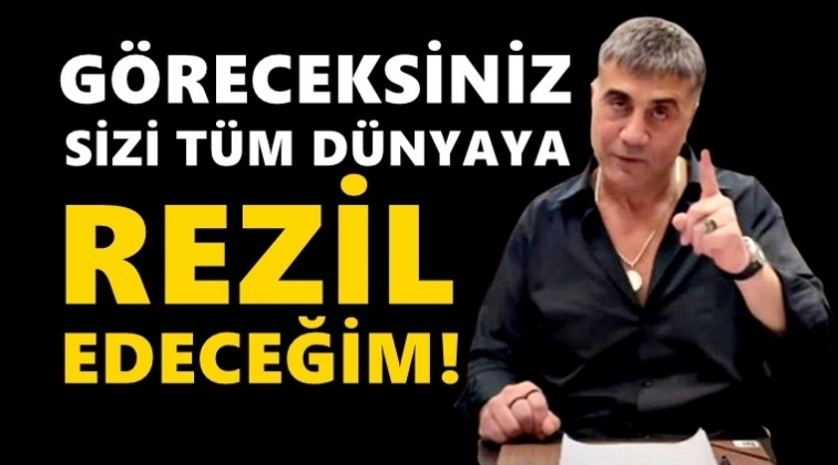 Sedat Peker:&nbsp;Sizi t&uuml;m d&uuml;nyaya rezil edeceğim!