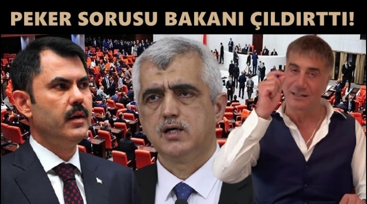 Sedat Peker sorusu Bakan Kurum'u &ccedil;ıldırttı!
