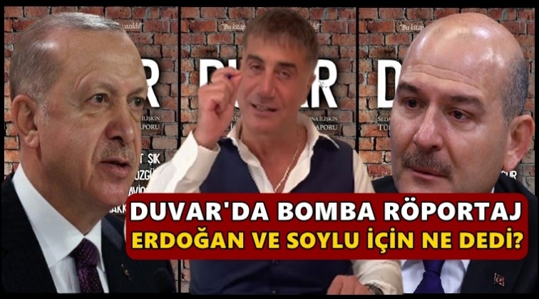 Sedat Peker, Soylu ve Erdoğan hakkında neler dedi?