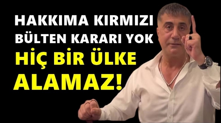 Sedat Peker: Beni hi&ccedil;bir &uuml;lke alamaz!