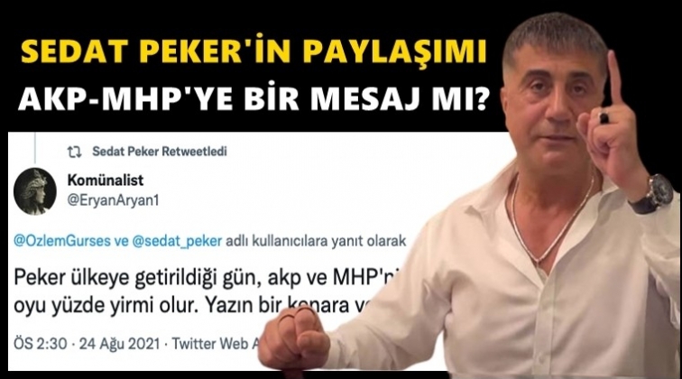 Sedat Peker, T&uuml;rkiye&rsquo;ye geldiğinde...