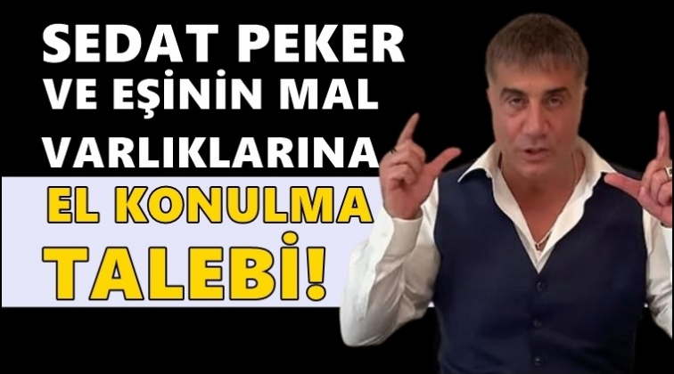 Sedat Peker ve eşinin mal varlıklarına tedbir!