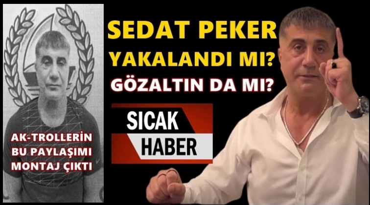 'Sedat Peker yakalandı' iddiası!..