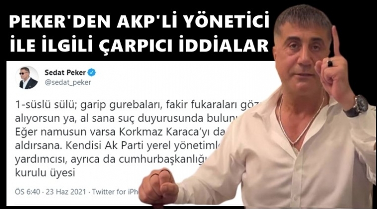 Sedat Peker'den AKP'li isimle ilgili flaş iddia!..