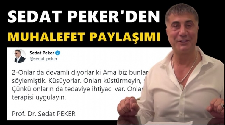 Sedat Peker'den çarpıcı 'muhalefet' paylaşımı...