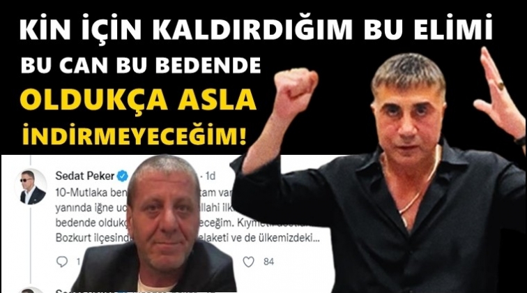Sedat Peker'den &ccedil;ok &ccedil;arpıcı a&ccedil;ıklamalar!..
