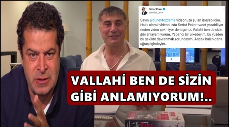 Sedat Peker'den Cüneyt Özdemir'e video cevabı...