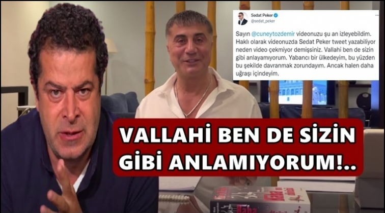 Sedat Peker'den C&uuml;neyt &Ouml;zdemir'e video cevabı...