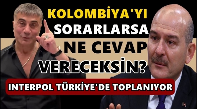 Sedat Peker'den Soylu'ya Interpol g&ouml;ndermesi...
