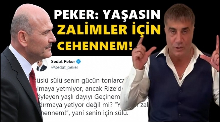 Sedat Peker'den Soylu'ya: Senin g&uuml;c&uuml;n ancak...